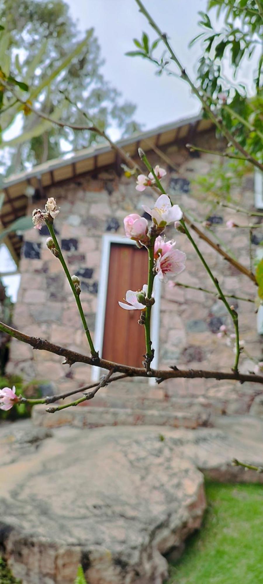 Oforasteiro Villa Mucuge Bagian luar foto