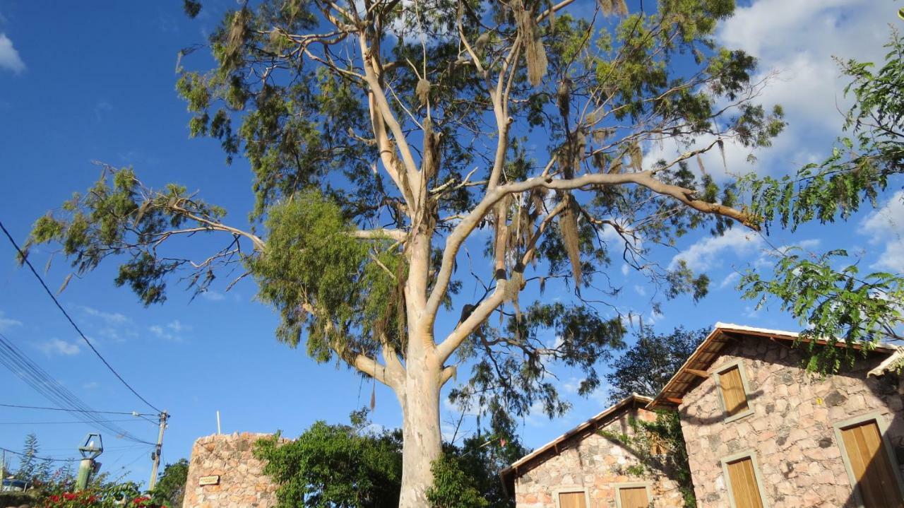Oforasteiro Villa Mucuge Bagian luar foto